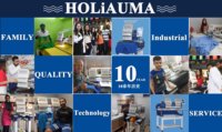 5 ans de garantie Holiauma sortie d'usine Machine à broder informatisée à grande vitesse Machine à coudre les étiquettes Brother 750 à vendre