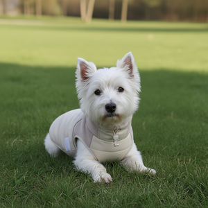 रंगब्लॉक हल्के धोने योग्य कुत्ते हुडी-स्पोर्टी परिसर-शैली पालतू स्वेटर शर्ट और बाहरी आराम के लिए जेब - Product Image 6