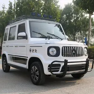 News Energy Vehicles 0KM Pickup Truck Mini Truck 4 Wheeler Small Car