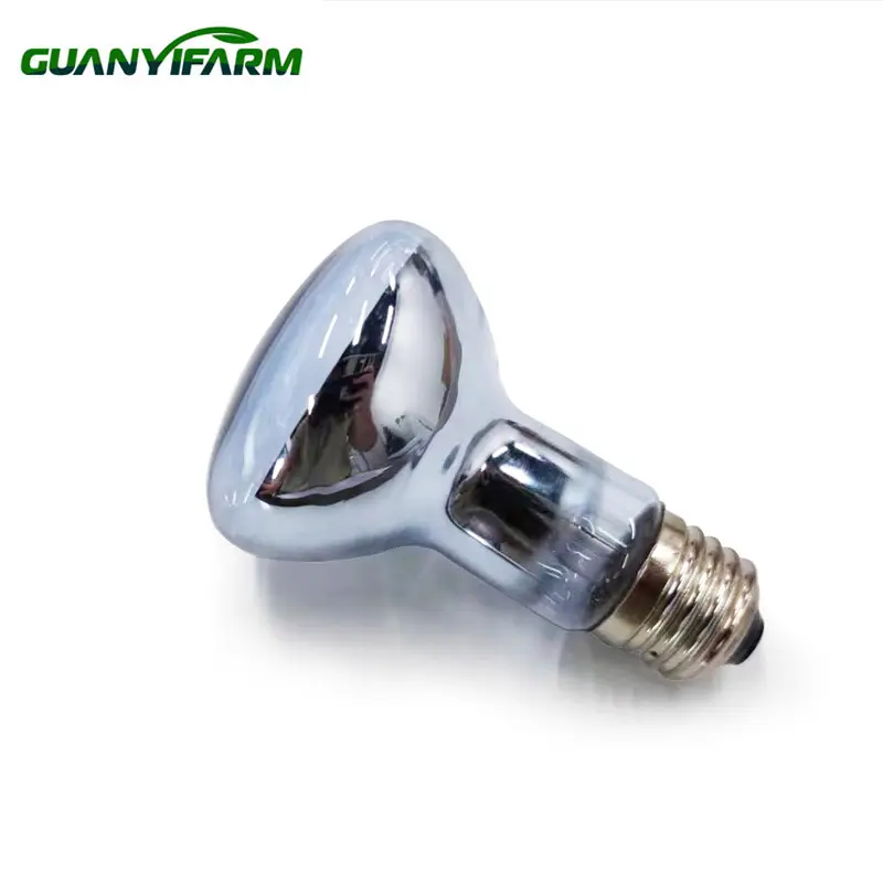 Guanyifarm Uva Huisdierbollen Infrar Lamp Groeilampen R63 Zwart Licht Huisdier Kruipen Voor Centrale Bebaarde Draak