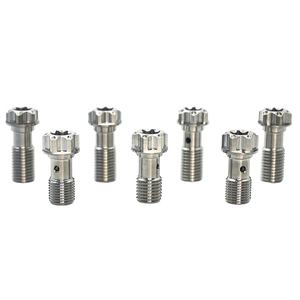 Offre Spéciale gr5 simple <span class=keywords><strong>Banjo</strong></span> titane boulon M10 x 1.0/M10*1.25 titane probolt course moto pièces cnc pièces - Product Image 1