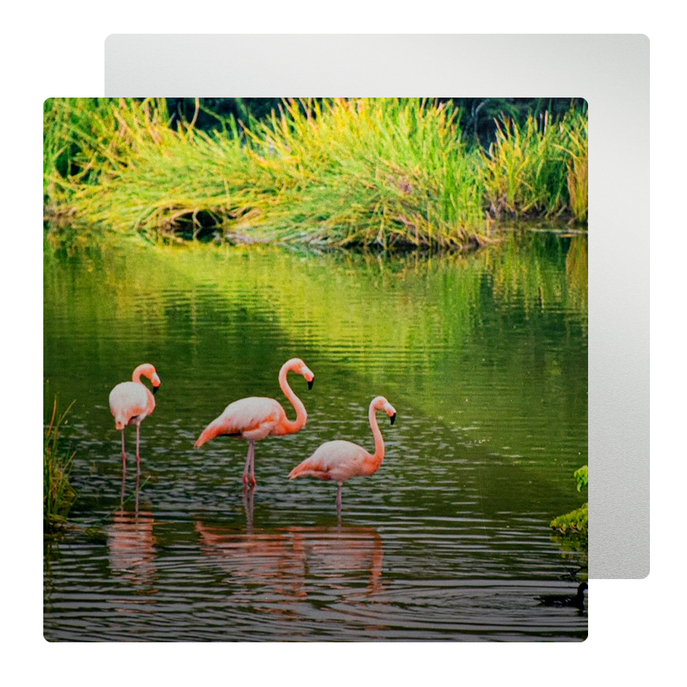 Самые популярные настроить HD Алюминиевый фото тонкий сублимаций заготовок листового металла 10*10 дюйм (ов)