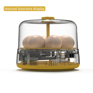 Mini incubateur d'œufs à rotation automatique 6 œufs pour enfants, nouveau Design - Product Image 6