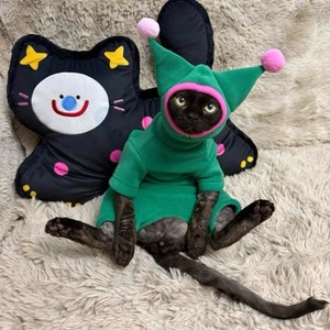 Combinaison pour animaux de compagnie en coton de luxe, mignonne et classique, style allemand bouclé, pour <span class=keywords><strong>chat</strong></span> et chiot, vêtements amusants pour animaux - Product Image 6