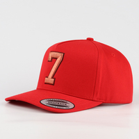 Casquette de baseball unisexe personnalisée de style streetwear haut de gamme avec visière incurvée, broderie 3D en relief, idéale pour le hip-hop, la randonnée, la gym et le fitness, 100 % polyester