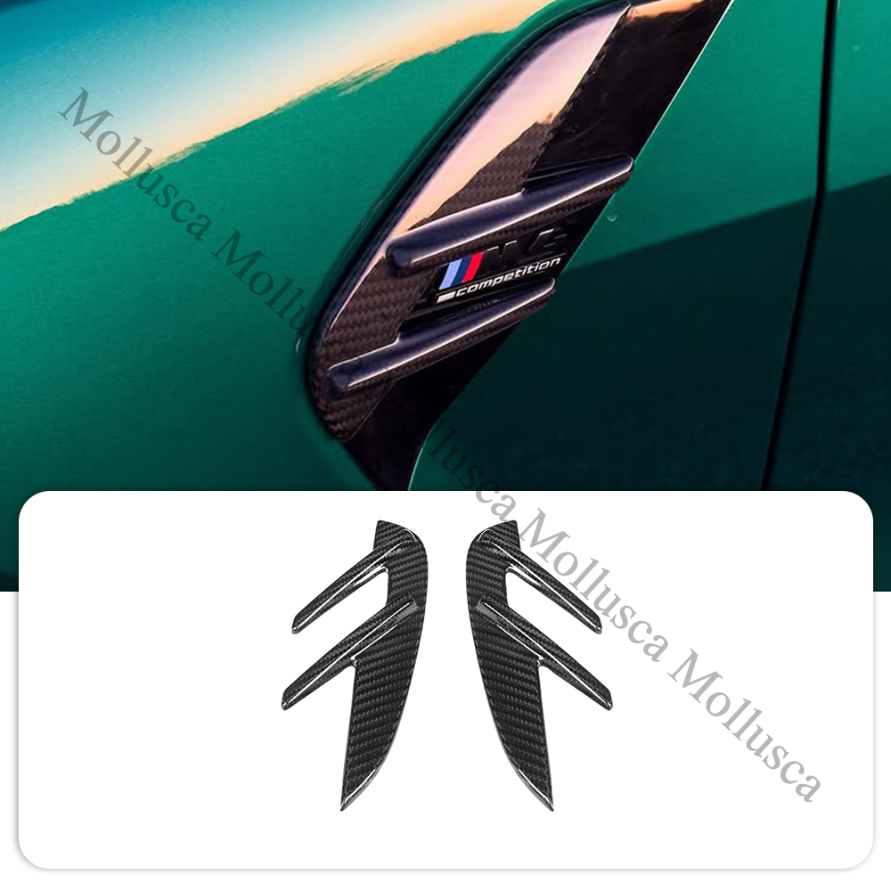 G82 Tobera de guardabarros de carbono seco