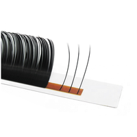 Extensions de cils plates Ellipse les plus populaires 0.15 0.20mm C CC D DD avec logo personnalisé