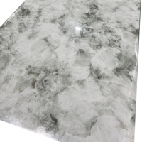 Panneaux de contreplaqué stratifié HPL haute pression 0,5 mm/0,6 mm 4 mm 12 mm Finition texturée brillante pour meubles de table d'hôpital