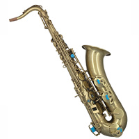 Professional Bb Tenor Saxophone TS300S Vintage Antique Brushed Bronze Finish Brass Wind Instrument Custom Logo Full Accessories