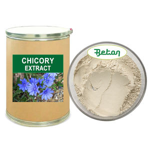 Extracto de Raíz de Cichorium (<span class=keywords><strong>Chicory</strong></span>) Liofilizado, Puro, Natural, Orgánico, <span class=keywords><strong>Instant</strong></span>áneo, en Polvo, Inulina, Grado Cosmético/Alimentario, al por Mayor - Product Image 1