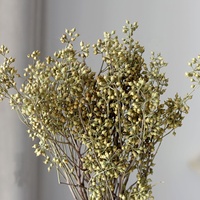 Fleurs séchées Plantes Millet Fruit Fleur Couleur Naturelle Eucalyptus sec Bouquets de fleurs Fruit Ornement décoratif Arrangement