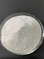 Fabricant MIDI de poudre de protéines de riz de qualité alimentaire pour animaux de compagnie, 70 % de protéines, sacs de 40 kg, livraison rapide