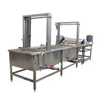 Máquina Automática de Lavar Frutas e Vegetais em Aço Inoxidável 304 para Linha de Processamento de Batata Frita