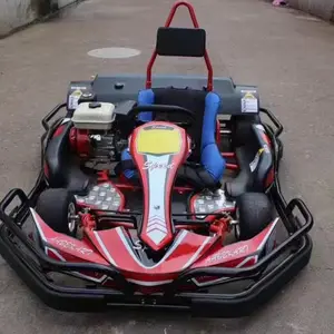 China Speeltuin Amusement Spelletjes Snelle Snelheid Benzine Racing Karts Drift Go Kart Te Koop