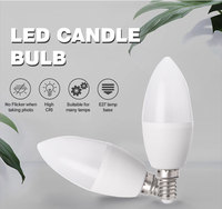 Prix d'usine, vente en gros, batterie Smd 12V, 110V, 5W, 7W, E14, E27, B22, ampoule Led, forme de bougie blanche, ampoules Led à flamme scintillante