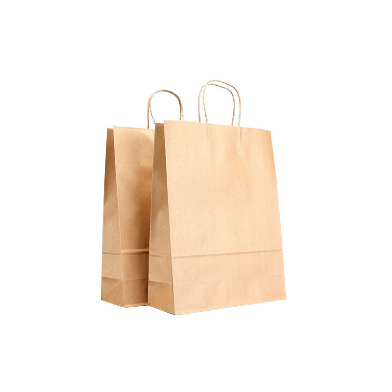 Gift Bag Twisted Handle Small Paper