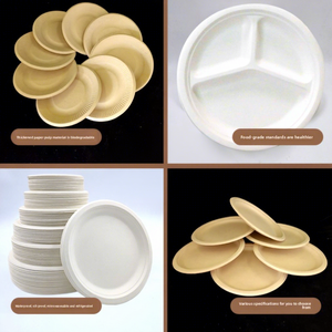<span class=keywords><strong>Assiette</strong></span> jetable en pulpe de papier biodégradable, carrée, épaisse, imperméable et résistante à l'huile, pour pique-nique, barbecue, fêtes et restaurants - Product Image 2