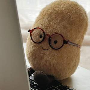 Nuevo Peluche de Patata Pequeña del Sur de 15 cm, Muñeco de Peluche, Libro Rojo Pequeño con Regalos para Niños, Plantas al por Mayor - Product Image 4