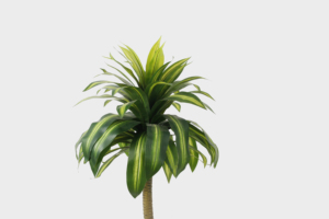 Piante di canna da giardino naturale di alta qualità artificiale Dracaena Fragrans 100CM 70 foglie albero artificiale seta pianta finta - Product Image 3