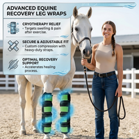 Bottes de glace pour chevaux, bandages de compression froide, compresses de gel réutilisables pour le gonflement et la récupération des blessures équines