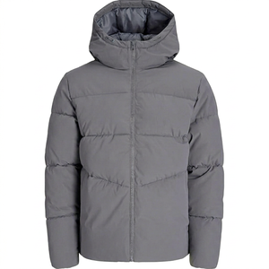 Chaqueta Acolchada Impermeable y Cortavientos con Capucha para Hombre, Color Gris, Cierre de Cremallera, Ligera, Corte Regular, Color Sólido, Alternativa al Abrigo de Invierno - Product Image 1