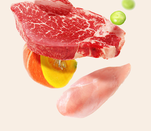 Friandises humides pour chats avec logo personnalisé, 15g, marque privée, aliments pour animaux OEM - Product Image 6