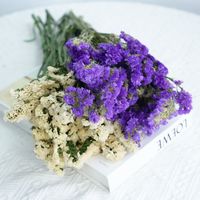 Flores Secas de Pampas Naturales Azules al por Mayor, Ecológicas, Duraderas, Decoración para el Hogar, Bodas, Navidad, Pascua