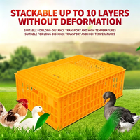 Caisse de transport pour volailles, cage à poulets en plastique orange avec dessus en maille