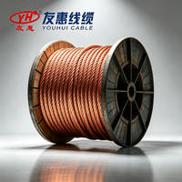 Fil de cuivre nu multibrin Youhui TJ/TJR de qualité supérieure pour câblage aérien de moyenne tension – Fournisseur direct d'usine, conducteur de haute pureté, faible résistance