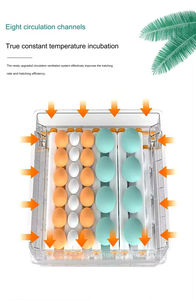 Nueva <span class=keywords><strong>Incubadora</strong></span> <span class=keywords><strong>de</strong></span> <span class=keywords><strong>Huevos</strong></span> <span class=keywords><strong>de</strong></span> Pollo Totalmente Automática, Mini <span class=keywords><strong>Incubadora</strong></span> Inteligente con Alta Tasa <span class=keywords><strong>de</strong></span> Eclosión - Product Image 3