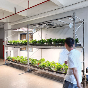 Growing <b>Rack</b> Double Layer Indoor Laboratory Plant Tissue Culture Vertical Adjustable Rolling Grow Hydroponic <b>Rack</b> Optional Grow - Product Image 4