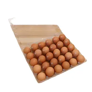 Professional Paper Egg Tray Suppliers Making Machine Automatic