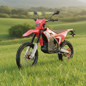 Motocicleta Eléctrica Leopard EXE L3E, 39kW, 90V, 75Ah, 880NM, Profesional para Adultos - Product Image 1
