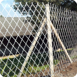 Bto-10, 15, 22, loại chéo, mạ kẽm nhúng nóng concertina dao cạo ruy băng dây thép gai hàn lưới thép dao cạo - Product Image 5