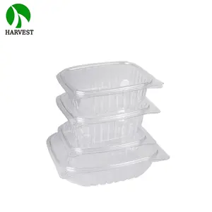 HC Bản Lề Vỏ Sò PET Dùng Một Lần Salad Nhựa Trong Suốt Hộp Đựng