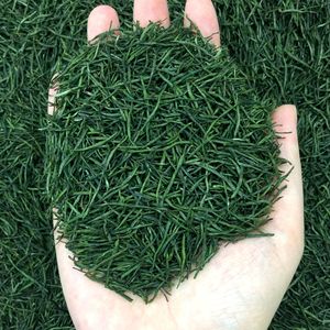 Nouveau Thé <span class=keywords><strong>Vert</strong></span> au Sélénium Fuchun 2026, Vente en Gros, Thé Longjing de Enshi Hubei, Artisanat de Qualité, Bourgeons Verts, Niveau Une, Boîte - Product Image 1