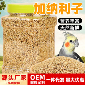 Nourriture pour oiseaux pour perroquet, perruche, canari, oiseau à yeux blancs, canari d'île, conteneur en plastique réutilisable de forme rectangulaire, nourriture pour animaux de compagnie, 1 à 20 pièces - Product Image 5