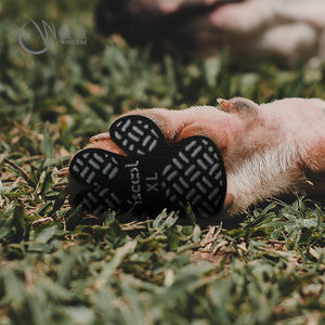 सिलिकॉन डॉग पॉ प्रोटेक्टर पालतू आपूर्ति डॉग ग्रिप पैड एंटी-स्लिप पालतू जूते - Product Image 2