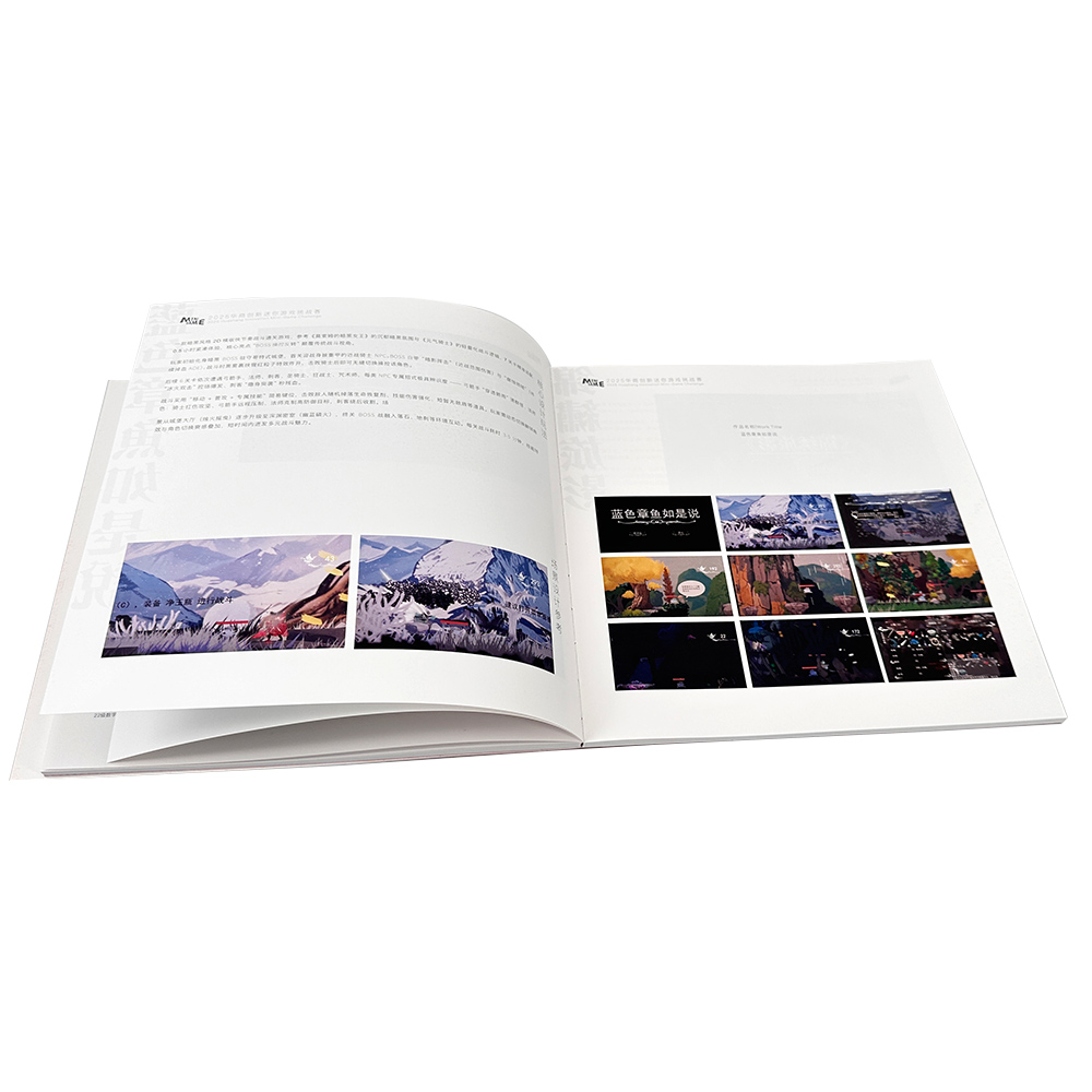 High Quality A4 A5 A6 Custom Coated Fancy Paper Book Brochure Printing Service For Business Promotional Advertising Flyers