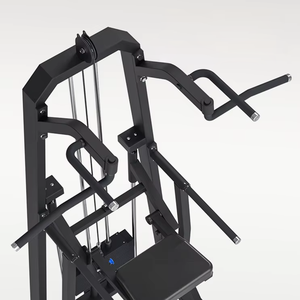 Estación de Dominadas y Flexiones Comercial OEM de Barra Simple o Doble para Gimnasio, Equipo de Fuerza Corporal - Product Image 2