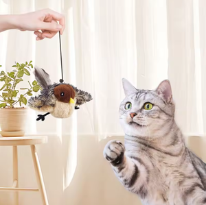 Jouet pour chat éducatif moderne rechargeable par USB, style dessin animé, avec design en peluche, respectueux de l'environnement, télécommande, pour intérieur, fournitures pour animaux de compagnie - Product Image 1