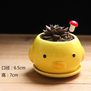 Vaso per Piante Grasse, Piccola Paperella Gialla, Orsetto, Vaso in Ceramica, Mini Vaso Creativo a Forma di Cartone Animato per Coltivazione Indoor - Product Image 3