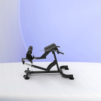 Chaise romaine réglable, équipement de fitness pour salle de sport, banc d'entraînement commercial, utilisation domestique, extension dorsale à cadre en acier