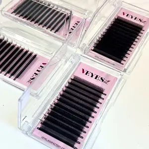 Veyes Wholesale 3D 4D 5D 6D W Shape Eyelash Extensions Volume Pre-made Fans False Eyelashes