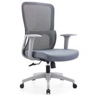 Chaise de bureau ergonomique en maille respirante, réglable en hauteur, pivotante, contemporaine, multicolore, économique