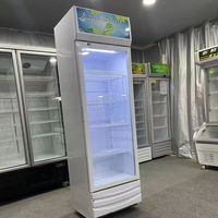 Réfrigérateur pour boissons, vitrine réfrigérée, refroidisseur, vitrine réfrigérée à porte vitrée