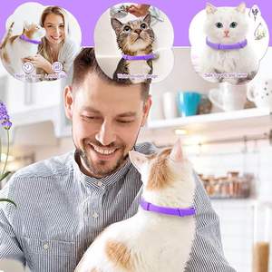 Entrega rápida Logotipo personalizado Muestra gratis Planta natural Aceite esencial Lavanda Aceite Perro gato Collar calmante para mascotas - Product Image 2