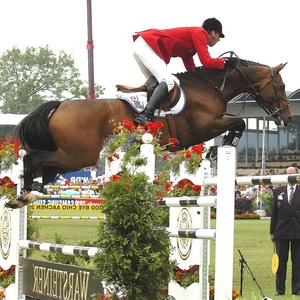 <span class=keywords><strong>Ostacoli</strong></span> Equestri Professionali per Allenamento Aochi Factory con Pali in PVC e Salti per Cavalli in Alluminio a Costo Contenuto - Product Image 6