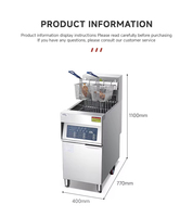 Freidora Eléctrica Comercial de Acero Inoxidable de Grado Comercial, Estándar CE, 30L de Gran Capacidad, 220V