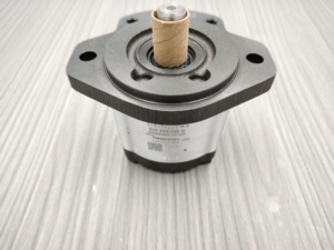Pompe à engrenages hydraulique <span class=keywords><strong>AU</strong></span>-10 76704 1517222305 1515500013 Pompe à engrenages simple double hydraulique - Product Image 3